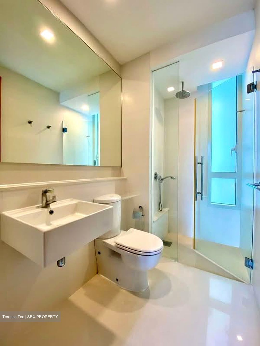 The Sea View (D15), Condominium #534262611